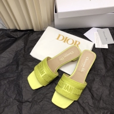 Christian Dior Slippers